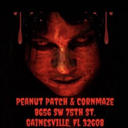 Peanut Patch and Cornmaze