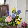 Blooms by Mel