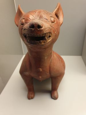 Museo Amparo by null