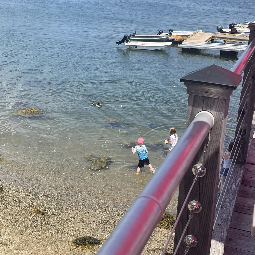 Perry's Lobster Shack - Playtime before or after lunch - Seafood Near Me - Surry, Maine Perry's Lobster Shack - Playtime before or after lunch - Seafood Near Me - Surry, Maine