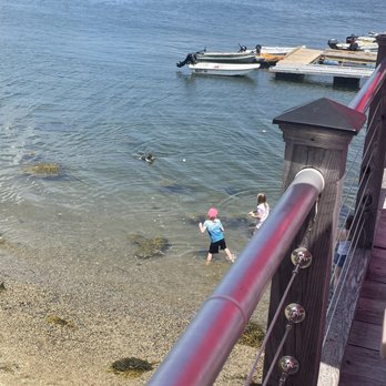 Perry's Lobster Shack - Playtime before or after lunch - Seafood Near Me - Surry, Maine