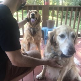 Dogs loved hanging out in the deck of our cabin! Dogs loved hanging out in the deck of our cabin!