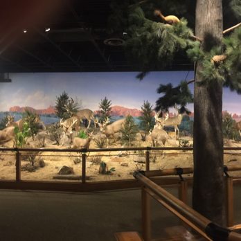 Cabela's - Outdoor Gear Near Me - Triadelphia, West Virginia