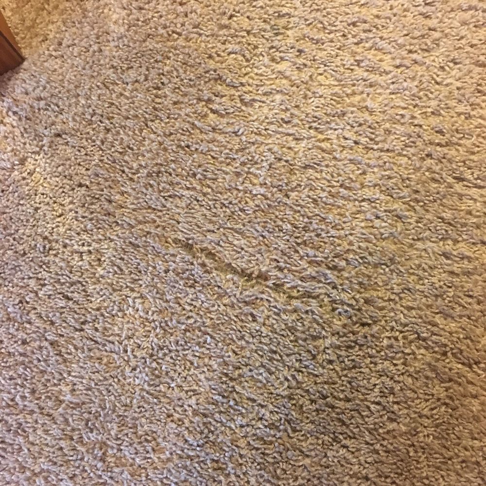 651 Carpets+ - Countertop Installation Near Me - Ham Lake, Minnesota 651 Carpets+ - Countertop Installation Near Me - Ham Lake, Minnesota