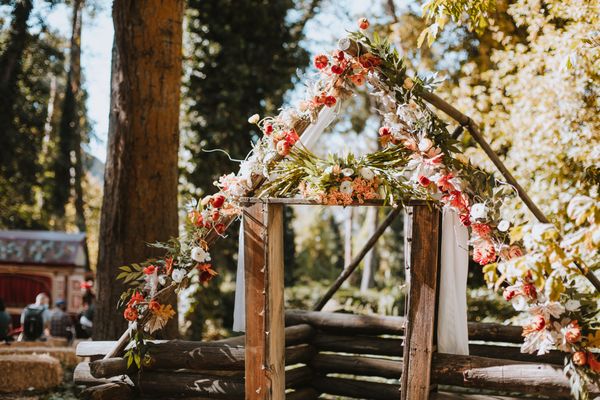 Stone Soup Farm & Heritage Orchard by null
