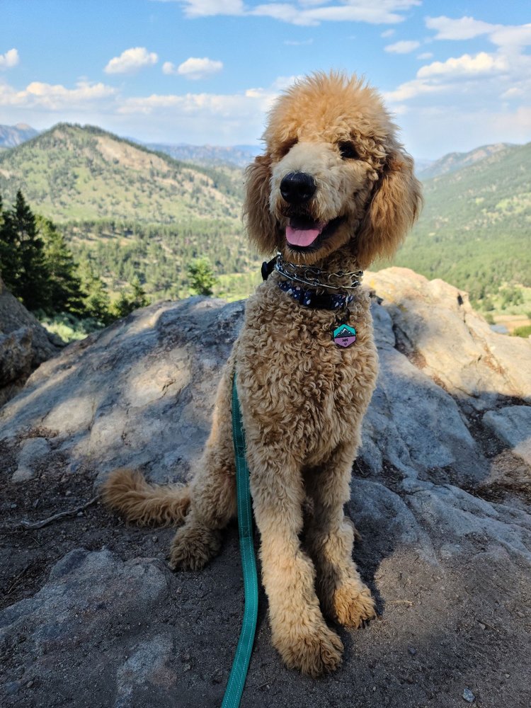 Edwin Bradt Grave/Bible Peak Trail Logo