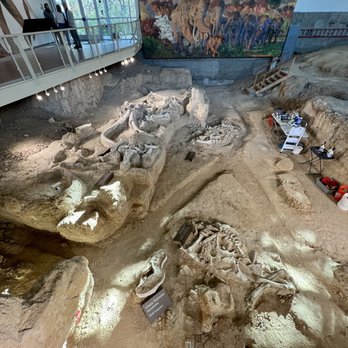 Waco Mammoth National Monument - Museums Near Me - Waco, Texas Waco Mammoth National Monument - Museums Near Me - Waco, Texas