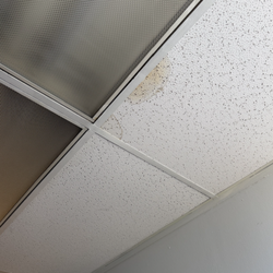 Alamitos Associates - this is a SECOND leak site in my office. It continues to grow.