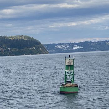 Puget Sound Express - Whale Watching Tours Near Me - Edmonds, Washington Puget Sound Express - Whale Watching Tours Near Me - Edmonds, Washington