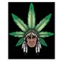 Photo of Big Chief Collective Duncan