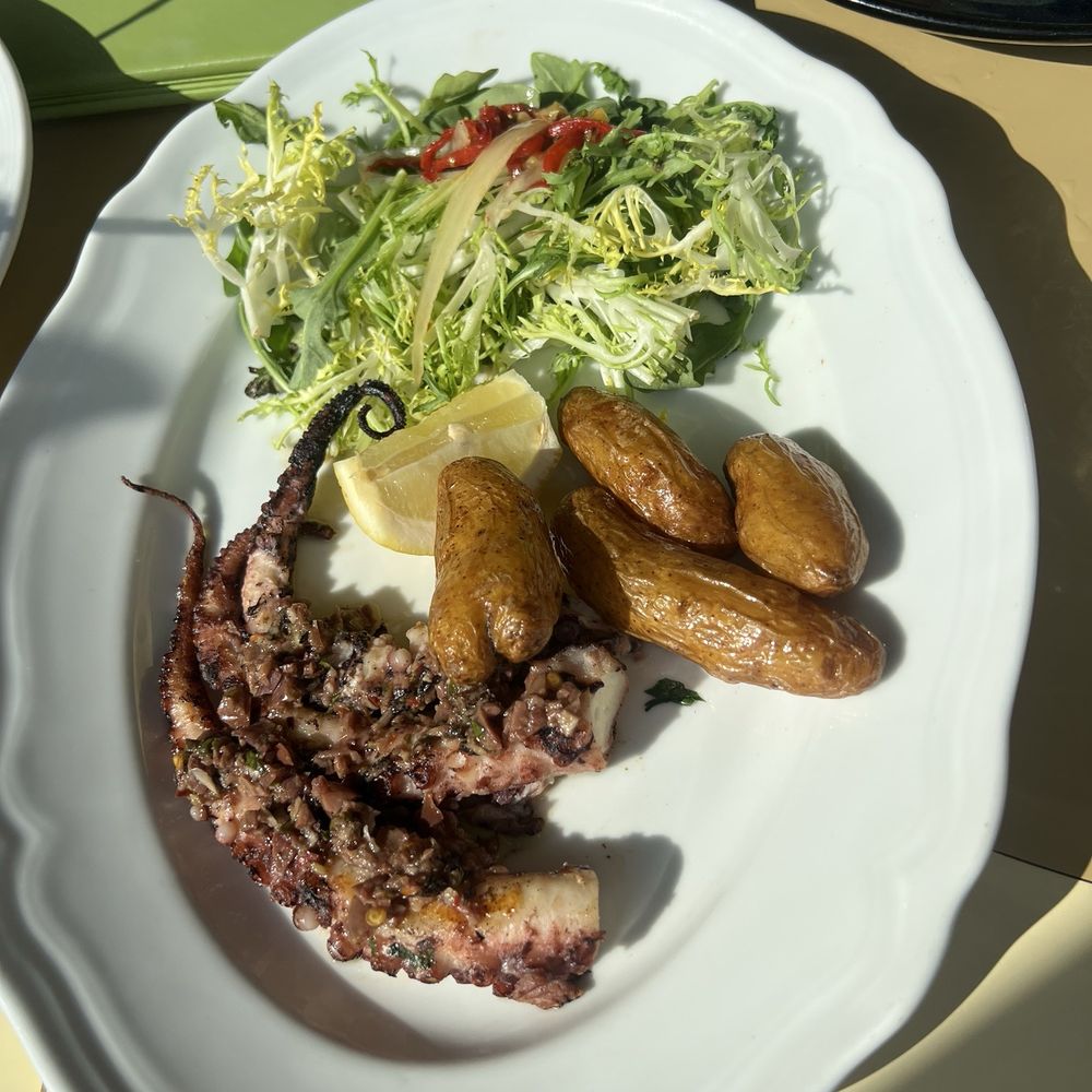 Don Coqui - Grilled Octopus - Latin American Near Me - Edgewater, New Jersey