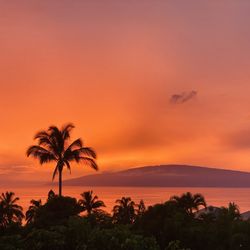 Dr. Sherry L. Mizumoto - Acupuncture in Lahaina, HI