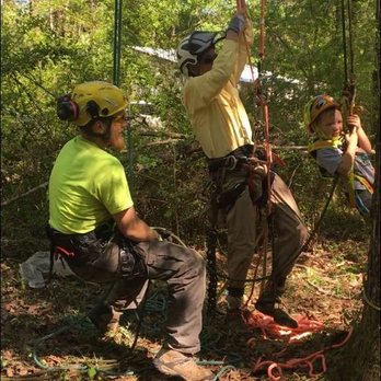 Mizell Tree Experts - 3 generations of climbers - Tree Services Near Me - Gloster, Mississippi