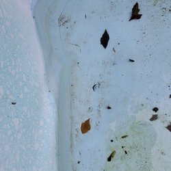 Brothers Pool - My liner