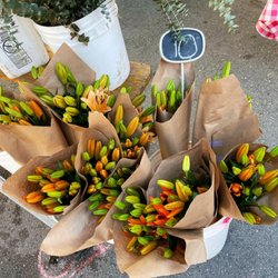 Crane Creek Growers
