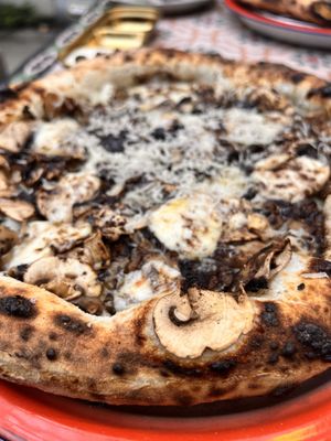 The Turning Peel Pizza by null