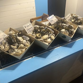 Sea Me - Abundance of Oysters to choose from - Seafood Markets Near Me - Lisbon, 11 Sea Me - Abundance of Oysters to choose from - Seafood Markets Near Me - Lisbon, 11