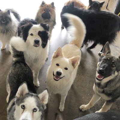 Crate Escape by null