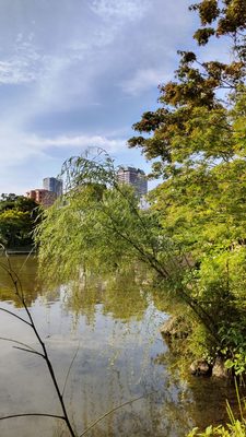 Hinokicho Park by null