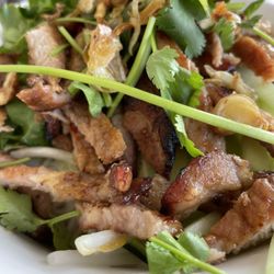 Vietnamese Sandwiches & Noodle - Grilled pork over vermicelli, and salad, before I mixed