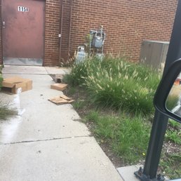 Garbage in drive up:(