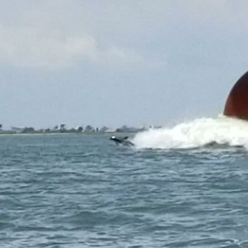 Galveston Water Adventures - Boat Charters Near Me - Galveston, Texas Galveston Water Adventures - Boat Charters Near Me - Galveston, Texas