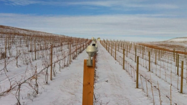 Prairie Fire Winery by null