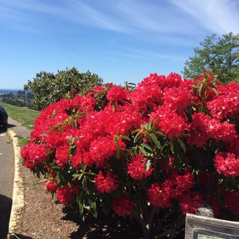 Astoria Column - Flowers in spring - Landmarks & Historical Buildings Near Me - Astoria, Oregon