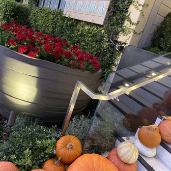 Oceana Hotel - Hotels Near Me - Santa Monica, California Oceana Hotel - Hotels Near Me - Santa Monica, California