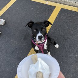 They offer puppy cups! They offer puppy cups!