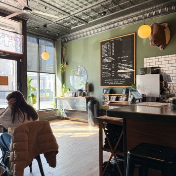 Curio Coffee - Ambience + Inside - Coffee & Tea Near Me - Cambridge, Massachusetts