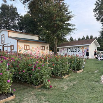 Pollys Petal Patch - Some of the planting beds - Venues & Event Spaces Near Me - Fuquay-Varina, North Carolina
