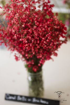 Baker Creek Heirloom Seed Company by null