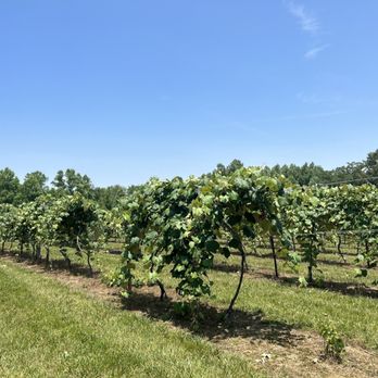 DelMonaco Winery - Venues & Event Spaces Near Me - Baxter, Tennessee DelMonaco Winery - Venues & Event Spaces Near Me - Baxter, Tennessee