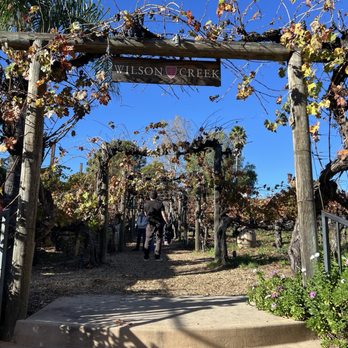 Creekside Grille Restaurant - Walk along the vineyards.  Great photo opportunity. - New American Near Me - Temecula, California