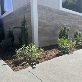 SBDB Landscaping - Redid our shed in the back with the new tile! - Landscape Architects or Designers Near Me SBDB Landscaping - Redid our shed in the back with the new tile! - Landscape Architects or Designers Near Me