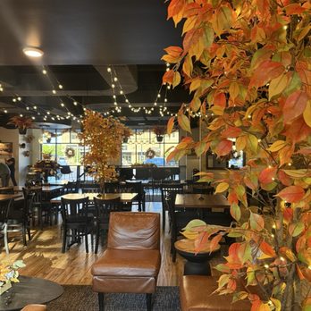 JoJo’s Espresso - Coffee & Tea Near Me - Germantown, Tennessee JoJo’s Espresso - Coffee & Tea Near Me - Germantown, Tennessee