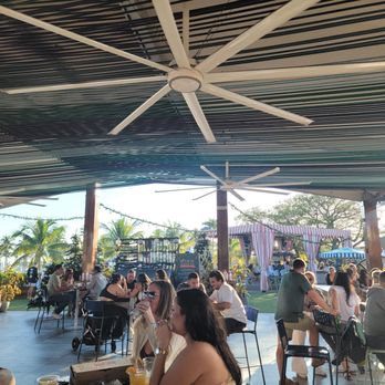 Regatta Grove - Cocktail Bars Near Me - Miami, Florida