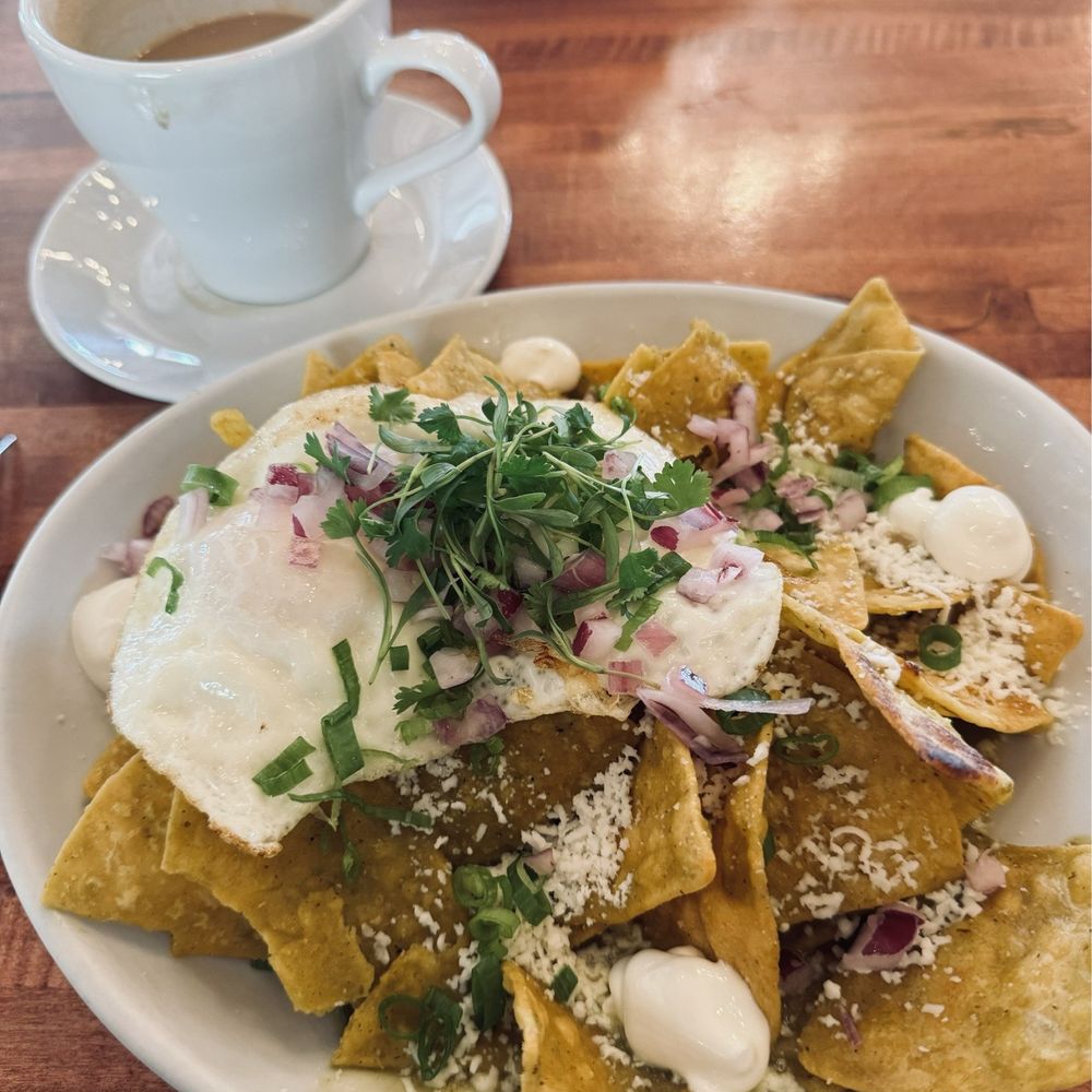 Grove Brunch Cafe - Green chilaquiles - Breakfast & Brunch Near Me - El Paso, Texas Grove Brunch Cafe - Green chilaquiles - Breakfast & Brunch Near Me - El Paso, Texas