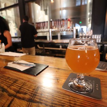 Coppertail Brewing Co - Hop Skull #1! - Bars Near Me - Tampa, Florida