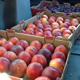 Nectarines! Nectarines!