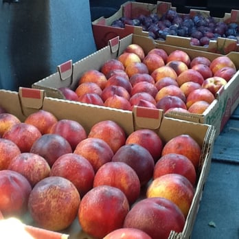 Canciamilla Ranch - Nectarines! - Fruits & Veggies Near Me - Brentwood, California Canciamilla Ranch - Nectarines! - Fruits & Veggies Near Me - Brentwood, California