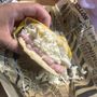 Pepito Arepa’s