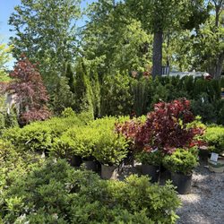 JVI Secret Gardens