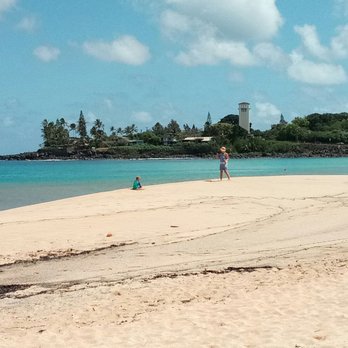 Hawaii Turtle Tours - One stop on the tour - Tours Near Me - Honolulu, Hawaii Hawaii Turtle Tours - One stop on the tour - Tours Near Me - Honolulu, Hawaii