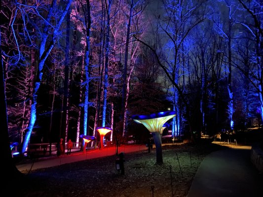 Fernbank Museum | 3D Theater | Forest by null