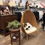 Photo of Genesis Benefit Thrift Store