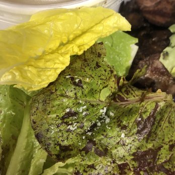 Tender Greens - Would you eat a salad that looks like this? - New American Near Me - El Segundo, California
