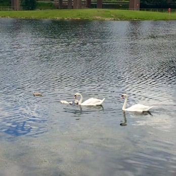 Salford Park - Parks Near Me - Birmingham, XWM