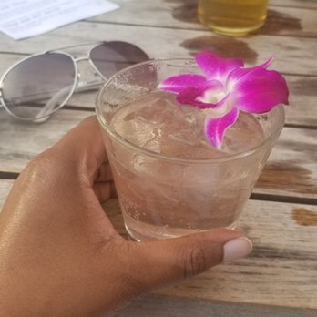 Wild Days - Daily punch - Cocktail Bars Near Me - Washington, DC, District of Columbia